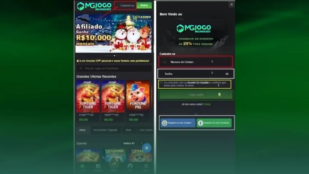 Mgjogo Registre Form